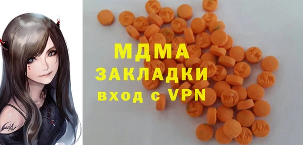 шишки Аркадак