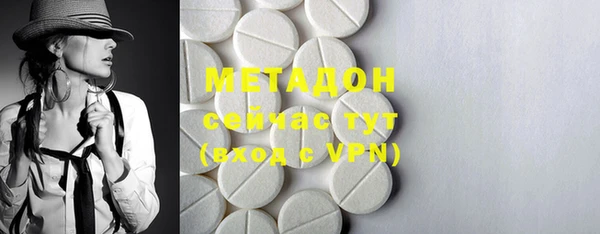 шишки Аркадак