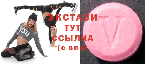 шишки Аркадак
