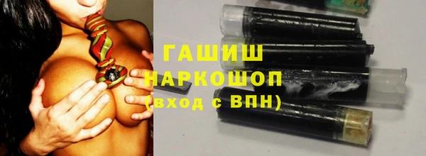 шишки Аркадак
