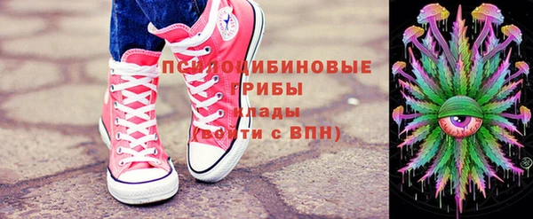 шишки Аркадак