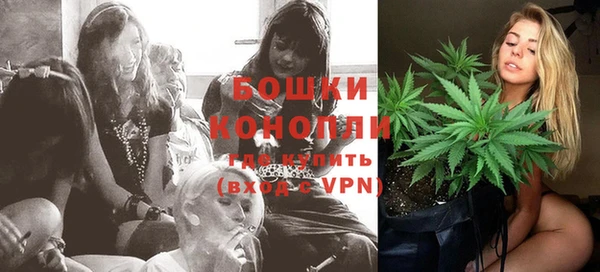 ПСИЛОЦИБИНОВЫЕ ГРИБЫ Арсеньев