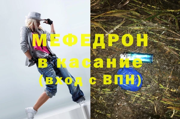 шишки Аркадак